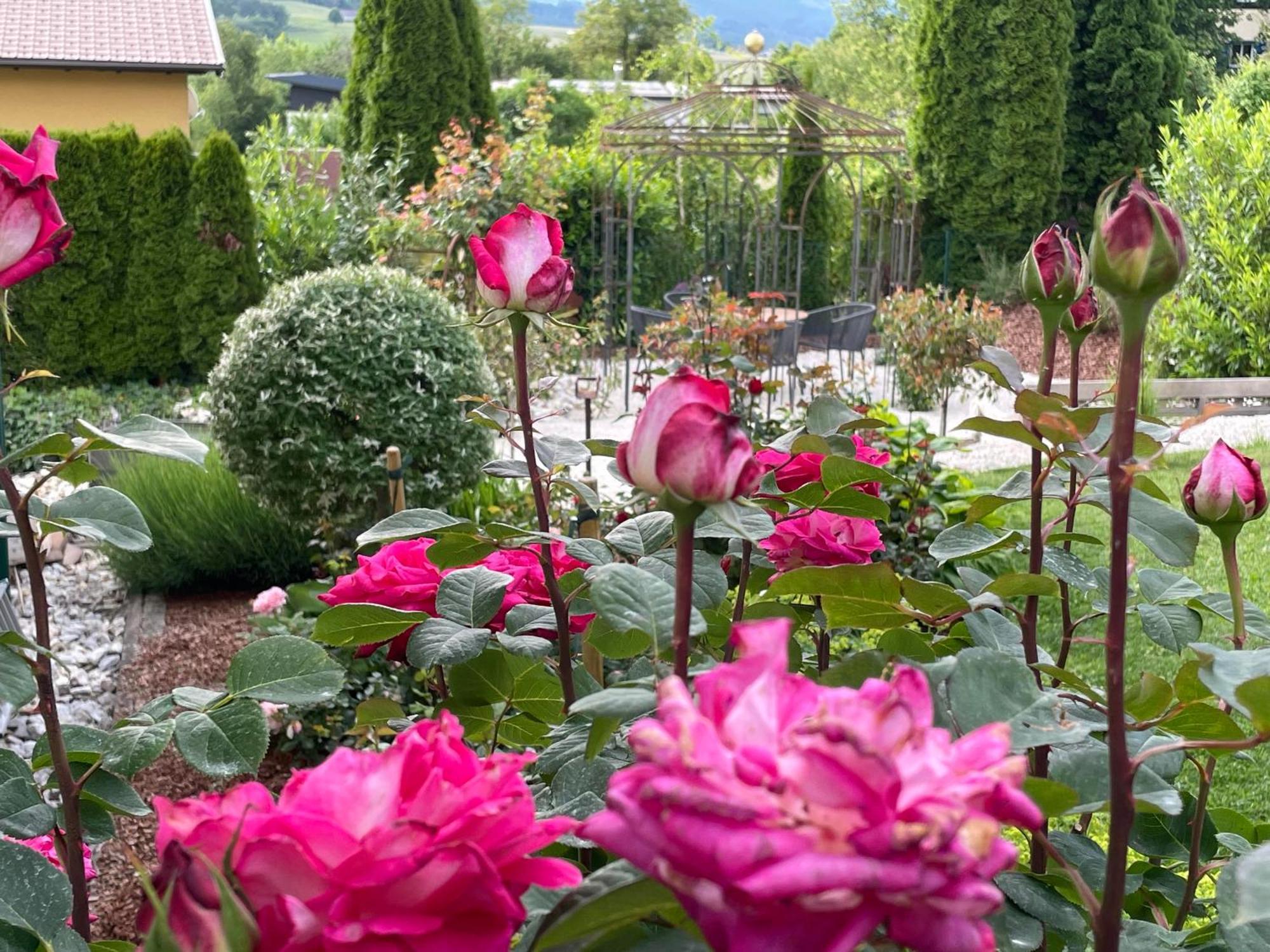 Bed And Breakfast Mittelkaernten Althofen  Εξωτερικό φωτογραφία