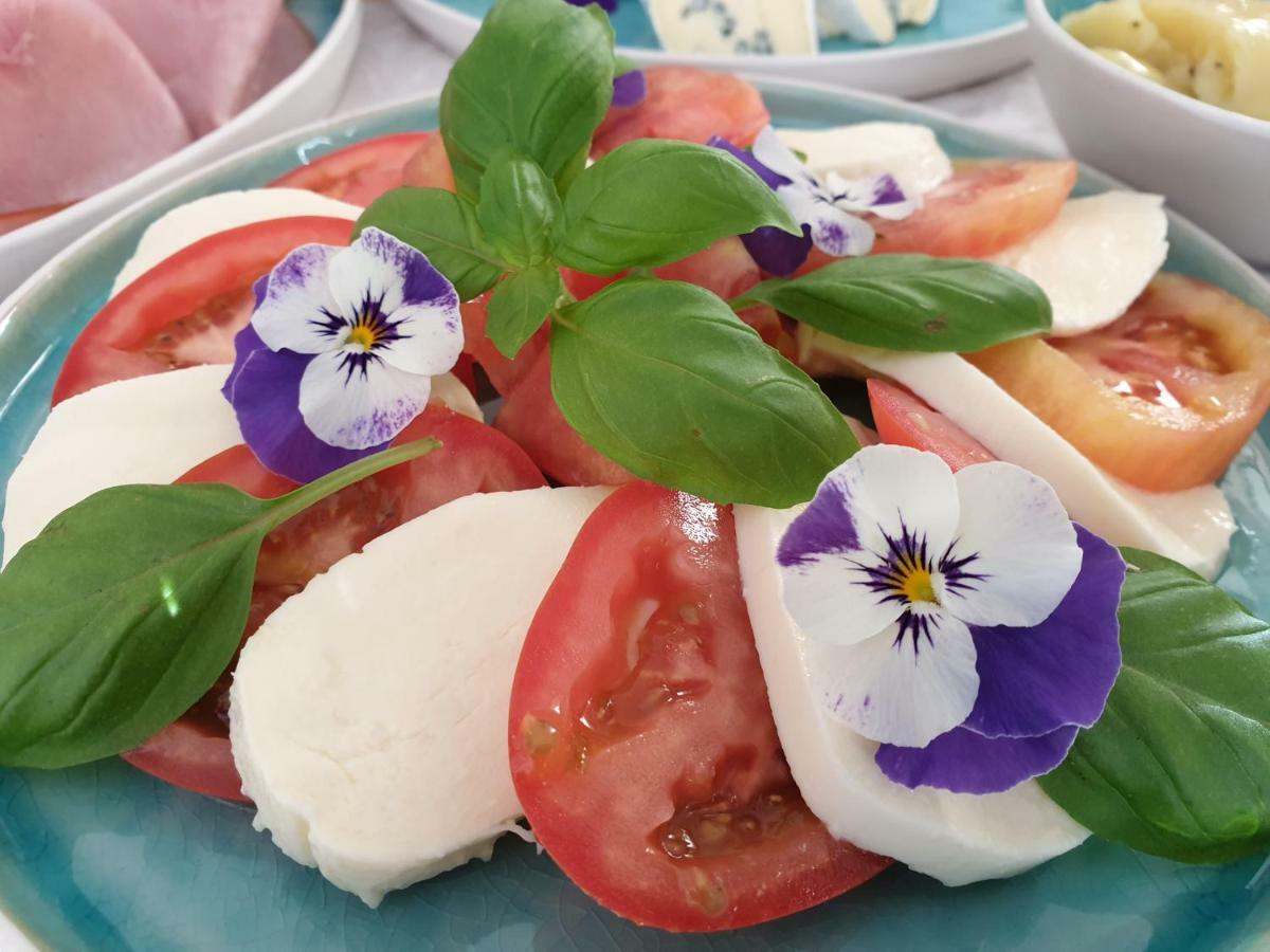 Bed And Breakfast Mittelkaernten Althofen  Εξωτερικό φωτογραφία