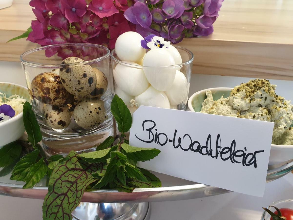 Bed And Breakfast Mittelkaernten Althofen  Εξωτερικό φωτογραφία
